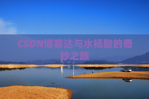 CSDN博客达与水杨酸的奇妙之旅