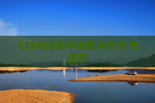 CSDN博客中的图片分享与展示